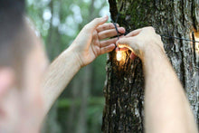 Load image into Gallery viewer, MPOWERD Luci Solar String Lights